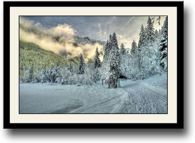 

Snow covered forest Fine Art Print(10 inch X 14 inch, Framed)