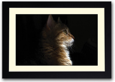 

Brown Cat Fine Art Print(14 inch X 20 inch, Framed)