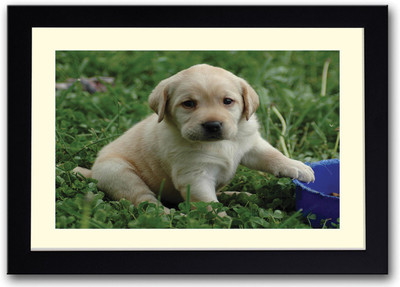 

Cute Dog with Blue bowl Fine Art Print(14 inch X 20 inch, Framed)