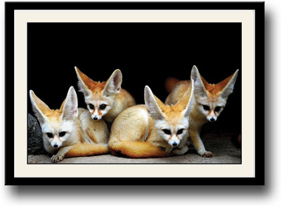 

4 Cute animals fenek Fine Art Print(10 inch X 14 inch, Framed)