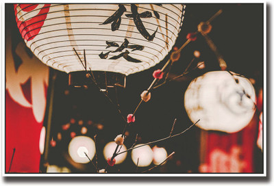 

Beautiful Japanese Lantern Fine Art Print(12 inch X 18 inch, Rolled)