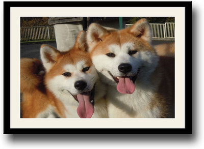 Two Dogs Fine Art Print(10 inch X 14 inch, Framed)