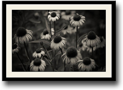 

Flowers Black and White Fine Art Print(10 inch X 14 inch, Framed)
