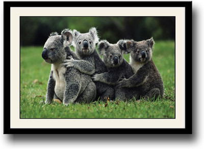 

4 koalas Fine Art Print(10 inch X 14 inch, Framed)