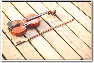 

Violin on the Deck Paper Print(12 inch X 18 inch)