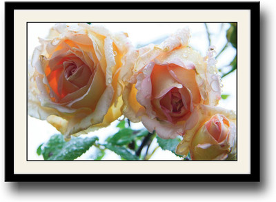 

Wet roses beautiful Fine Art Print(10 inch X 14 inch, Framed)