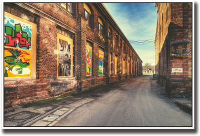 

Building with wall graffiti Fine Art Print(12 inch X 18 inch, Rolled)