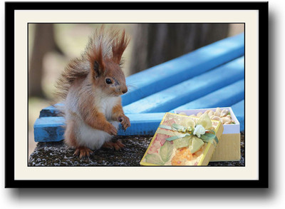 

Squirrel Fine Art Print(10 inch X 14 inch, Framed)