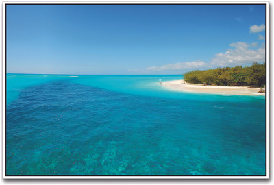 

Turquoise Beach Paper Print(12 inch X 18 inch)
