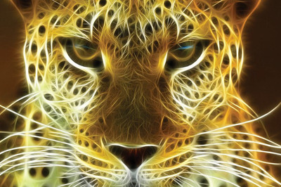 

Posterhouzz Fine Art Print(12 inch X 18 inch, Rolled)