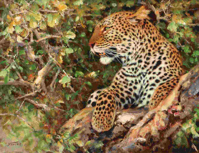 

Posterhouzz Animal Fine Art Print Poster Fine Art Print(12 inch X 18 inch, Rolled)