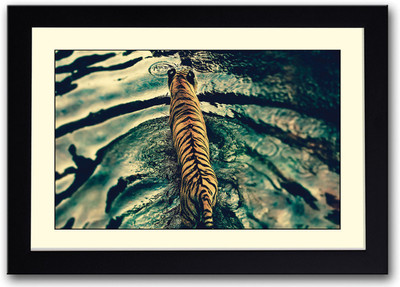 

Tiger walking in river Fine Art Print(14 inch X 20 inch, Framed)