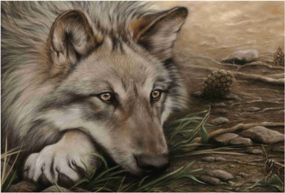

Animals Paper Print(19 inch X 13 inch, Rolled)