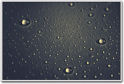 

Water Drops Paper Print(12 inch X 18 inch)