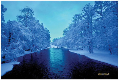 

Pics and You Winter Season Themed 39 Vinyl Laptop Decal 15.6