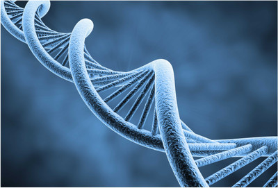 

Dna Photographic Paper(13 inch X 19 inch, Rolled)