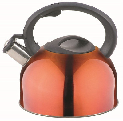 

Crystal Czarin Satinless Steel Orange Whistling Kettle Pot 2.5 L with Lid(Stainless Steel, Induction Bottom)
