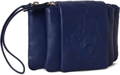 

Baggit Lmp Maxim Kasey Blue (Blue) L Mobile Pouch(Multicolor)
