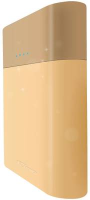 Portronics POR-548 Velocity Plus 13400 mAh (Gold) 