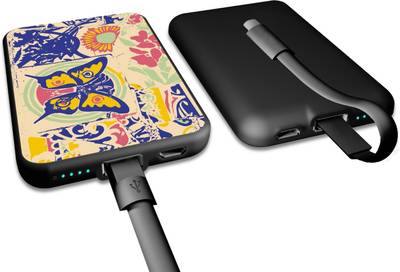 Artis BUTTERFLY Credit Card Size Slim Micro USB Portable Power Ba...