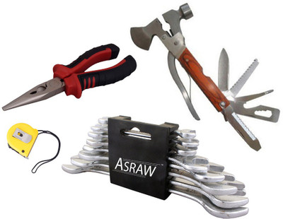 Asraw Hand Tool Kit(12 Tools), Multicolor