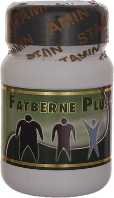 

STAMIN Fatberne plus fatburner(60 g)