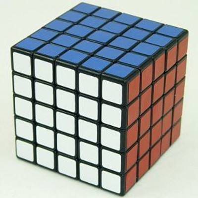 

Shengshou Shengshou 5X5 Speed Cube Black(1 Pieces)