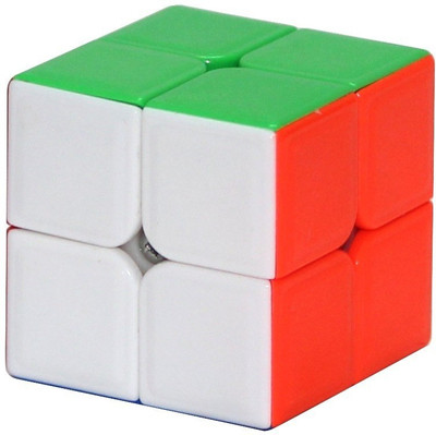 

DianSheng 2x2 Stickerless(1 Pieces)
