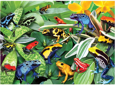 

Ravensburger Friendly Frogs(300 Pieces)
