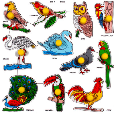 

Little Genius Birds Large with Big Knob(11 Pieces)
