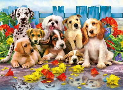 

Ravensburger Posing Pups - 200 Piece Puzzle(200 Pieces)