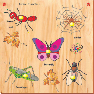 

Kinder Creative Junior Insects with Knobs(5 Pieces)
