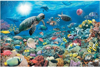 

Ravensburger Beneath the Sea(5000 Pieces)