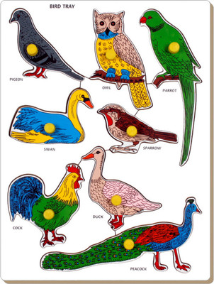 Little Genius Bird Tray(1 Pieces) Little Genius Bird Tray(1 Pieces)