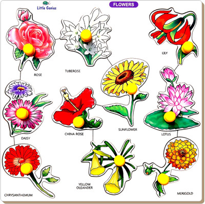 

Tomafo FLOWER TRAY - LARGE WITH BIG KNOB(1 Pieces)