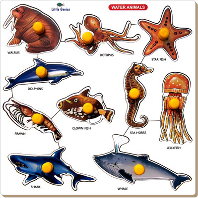 

Tomafo WATER ANIMALS TRAY - LARGE WITH BIG KNOB(1 Pieces)