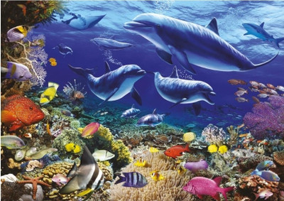

Ravensburger Family of Dolphins(1000 Pieces)