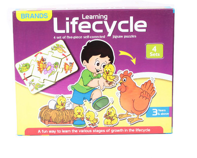 

Brands Learning Lifecycle(5 Pieces)