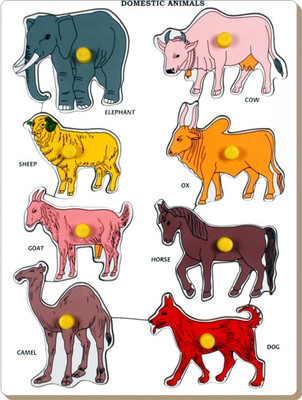 Little Genius Domestic Animals Tray(1 Pieces)