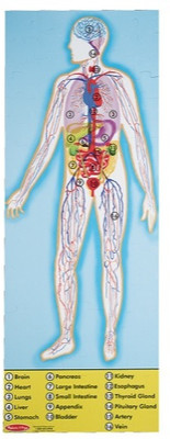 

Melissa & Doug Human Anatomy Floor Puzzle(100 Pieces)