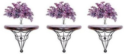 

Desi Karigar Wooden Wall Shelf(Number of Shelves - 3)