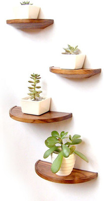 

LifeEstyle Wooden Wall Shelf(Number of Shelves - 4, Brown)