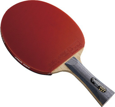 

DHS R6002 Multicolor Table Tennis Racquet(Weight - 190 g)