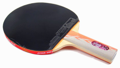 

Double Happiness A4001 Black, Red Strung Table Tennis Paddle(87 g)