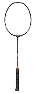 

APACS FINAPI 632 Multicolor Unstrung Badminton Racquet(G4 - 3.25 Inches, 85 g)