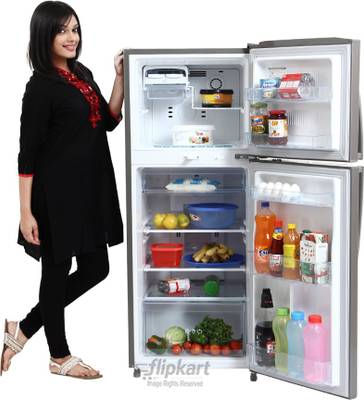 LG 255 L Frost Free Double Door Refrigerator (GL-B282SGSM, Graphite Steel) 