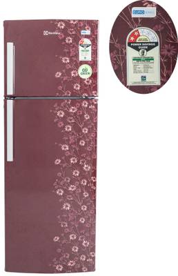 Electrolux 235 L Frost Free Double Door Refrigerator