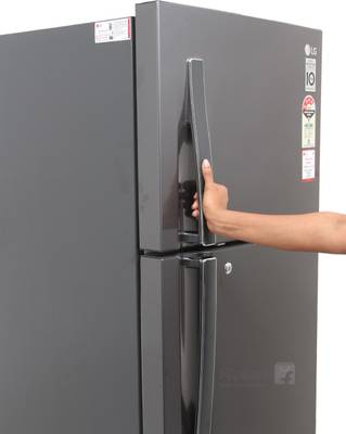 LG 255 L Frost Free Double Door Refrigerator
