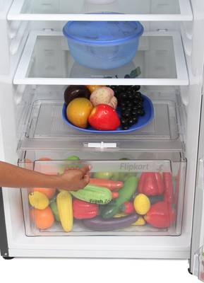 LG 255 L Frost Free Double Door Refrigerator