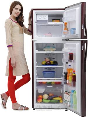 Whirlpool 265 L Frost Free Double Door Refrigerator (NEO FR278 ROY 3S, Wine Gloria) 